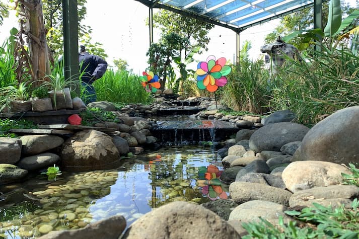 Taman Minimalis dengan Kolam dan Waterfall Mini